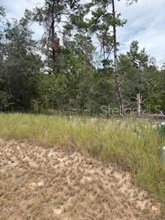 For Sale: $34,900 (0.29 acres)