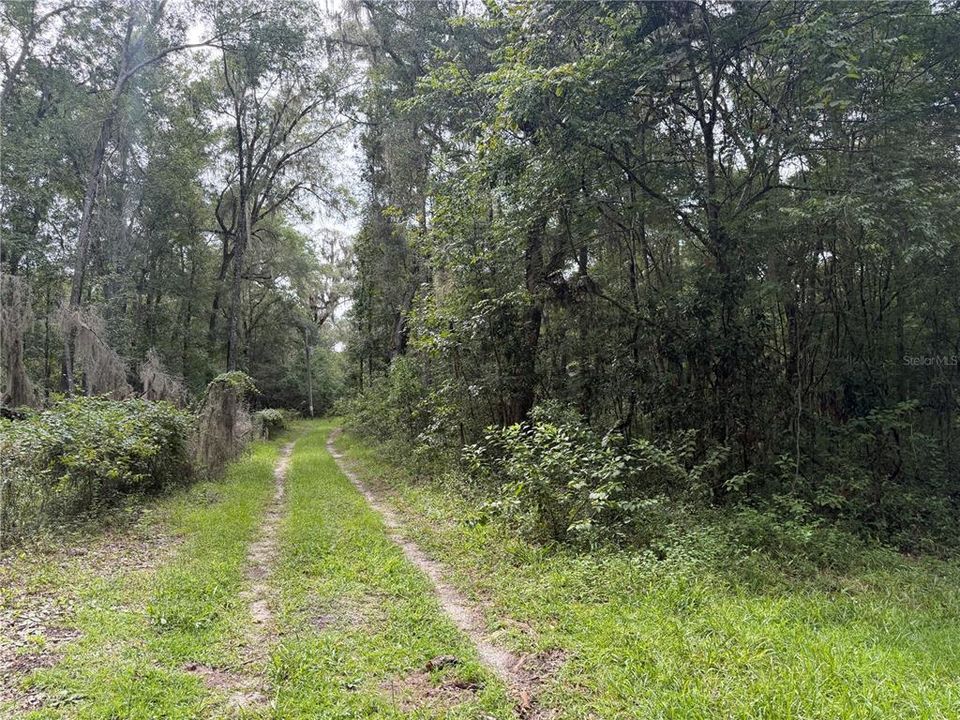For Sale: $375,000 (10.00 acres)