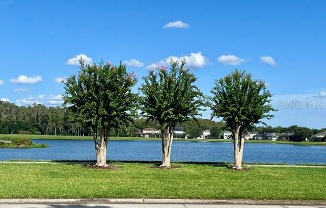 Active With Contract: $525,000 (4 beds, 3 baths, 2411 Square Feet)