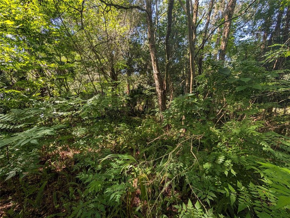 待售: $209,000 (1.66 acres)