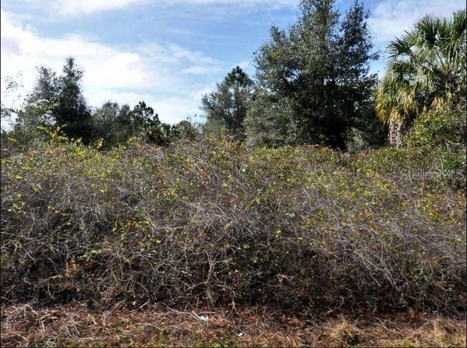 На продажу: $12,000 (0.23 acres)