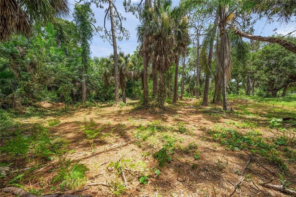 For Sale: $750,000 (3.50 acres)