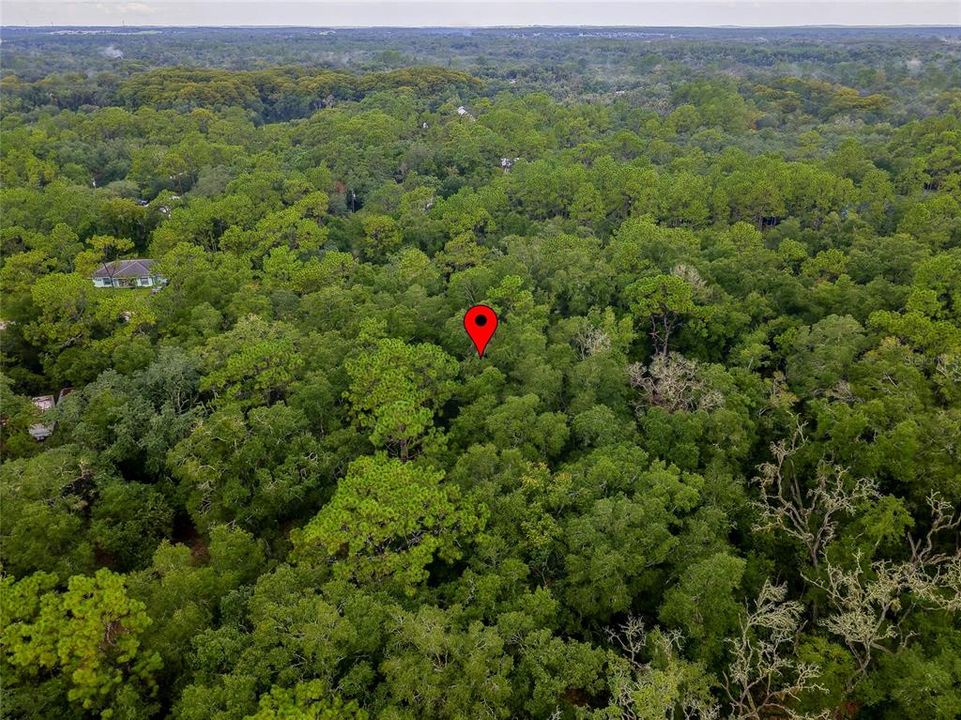 En Venta: $43,000 (1.20 acres)
