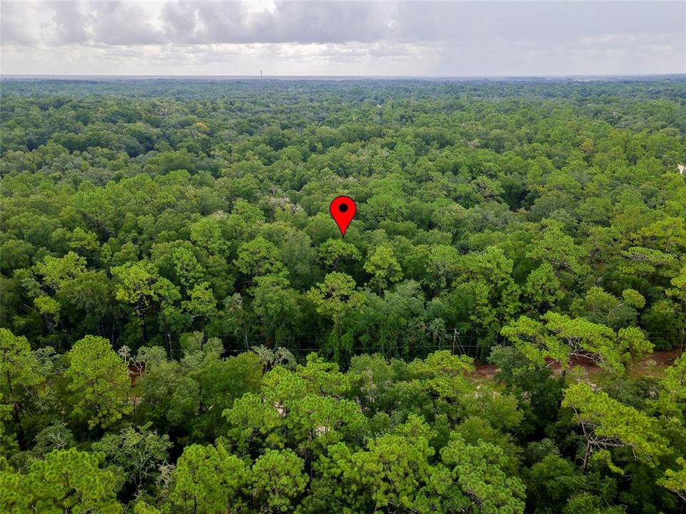 En Venta: $43,000 (1.20 acres)