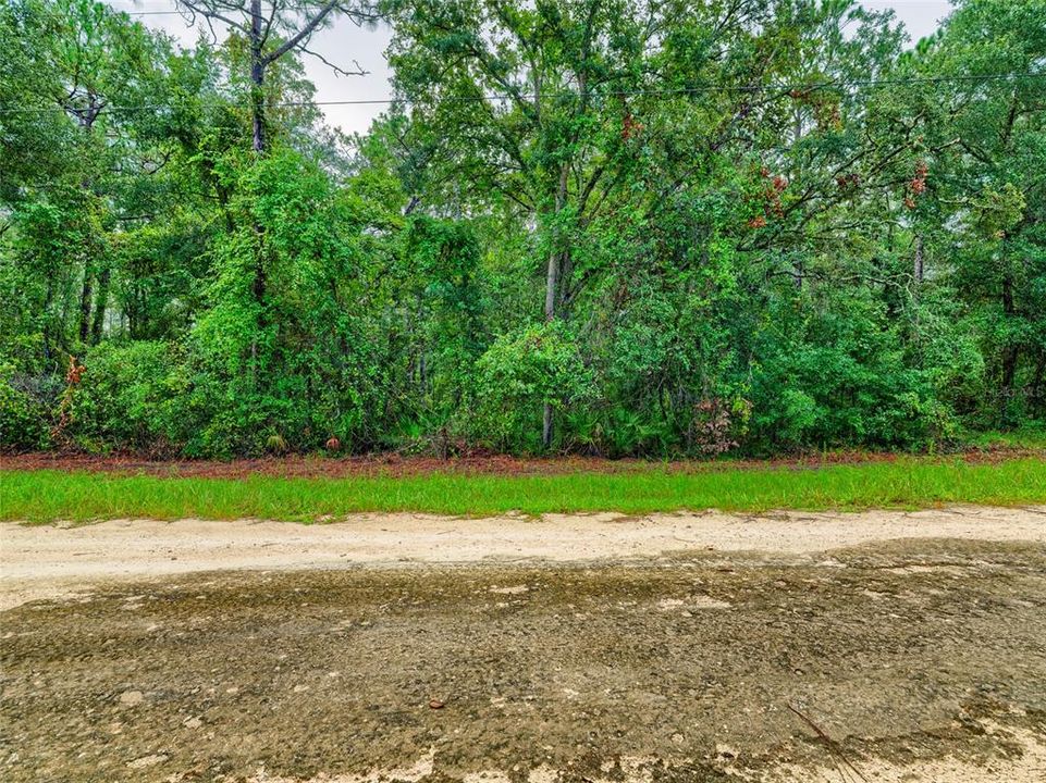 En Venta: $43,000 (1.20 acres)
