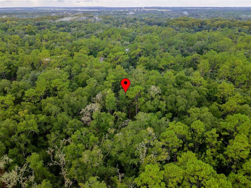 En Venta: $43,000 (1.20 acres)