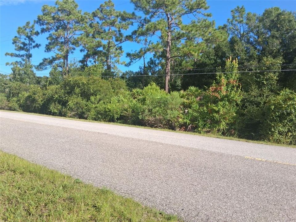 На продажу: $145,000 (1.03 acres)