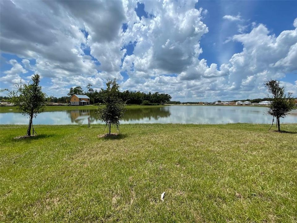 For Rent: $2,400 (3 beds, 2 baths, 1662 Square Feet)