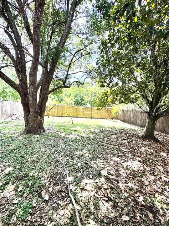 For Rent: $2,450 (3 beds, 2 baths, 1728 Square Feet)