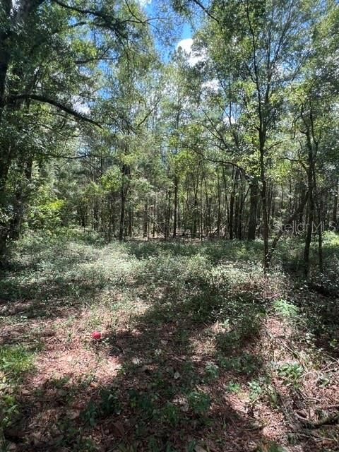 На продажу: $0 (5.60 acres)