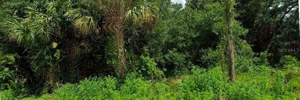 待售: $18,000 (0.25 acres)