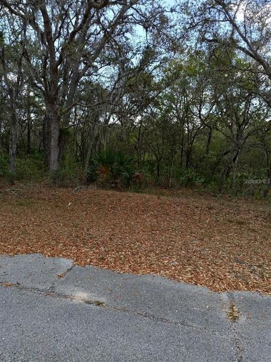 На продажу: $35,000 (0.26 acres)