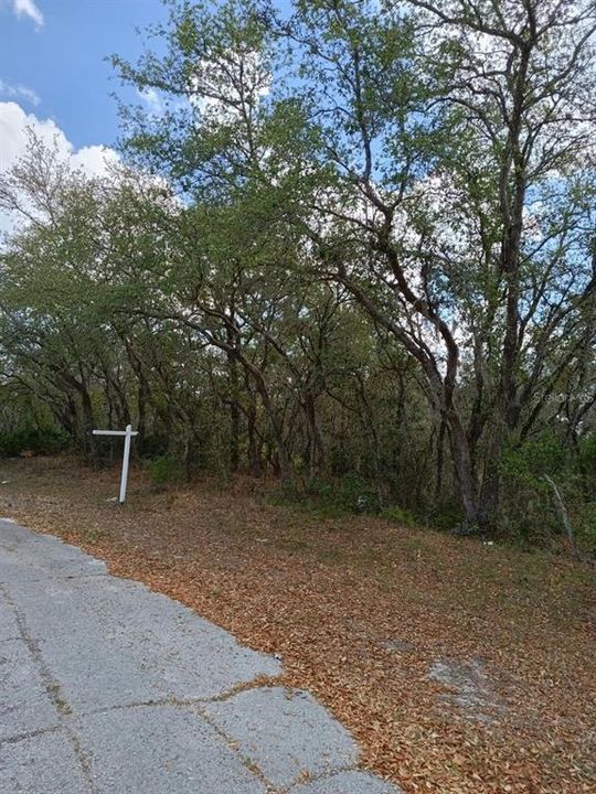 На продажу: $35,000 (0.26 acres)
