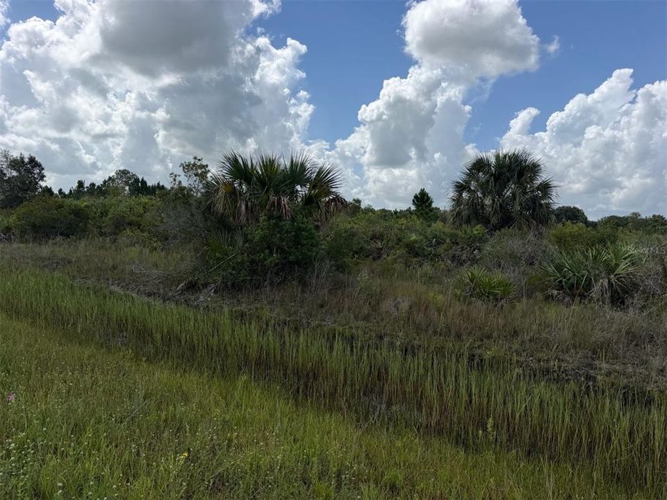 En Venta: $32,000 (1.25 acres)