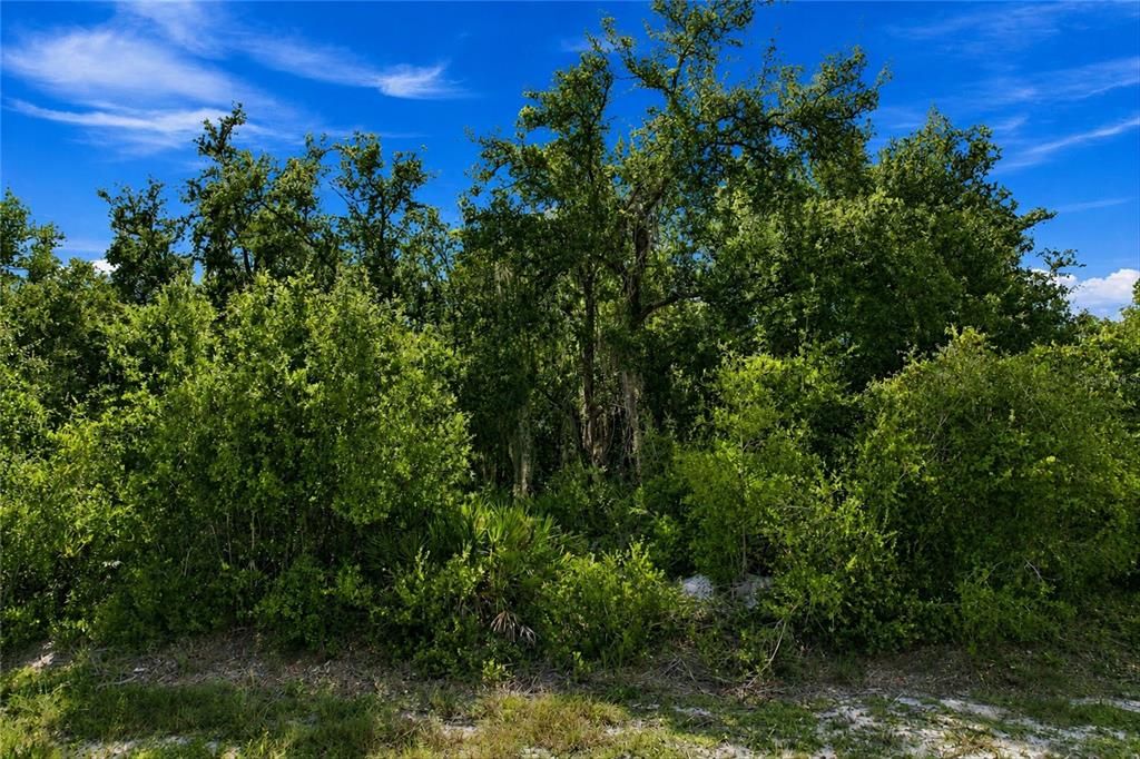For Sale: $13,000 (0.23 acres)