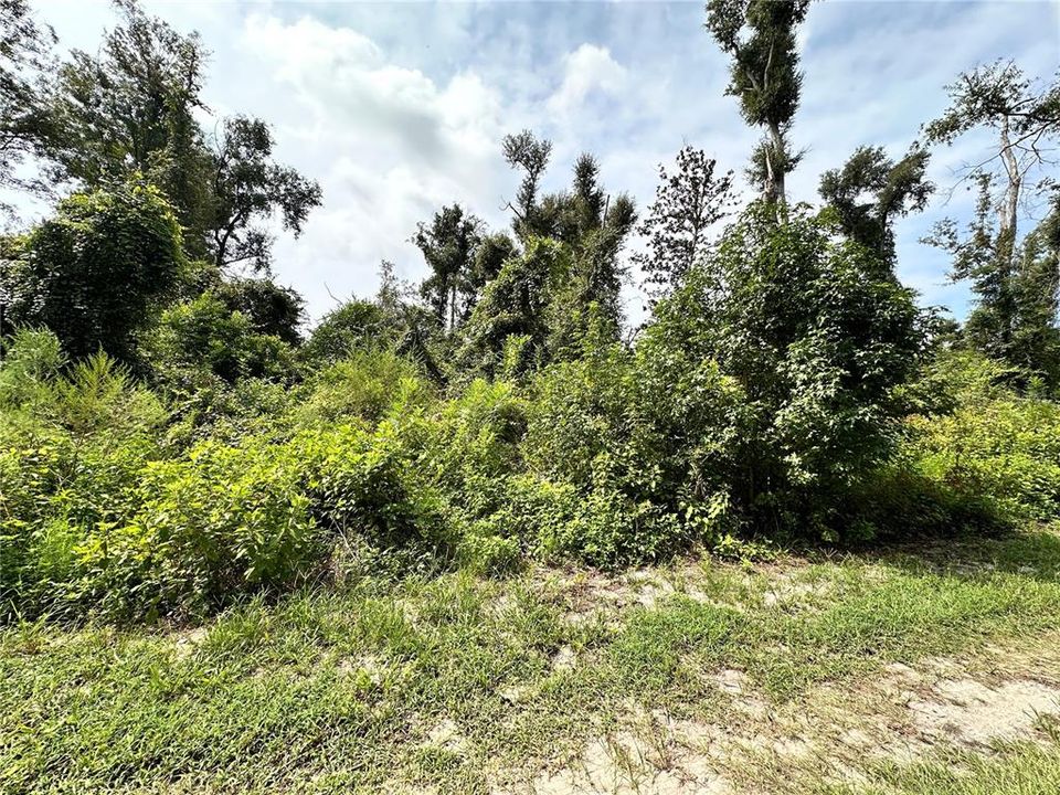 На продажу: $30,000 (1.10 acres)