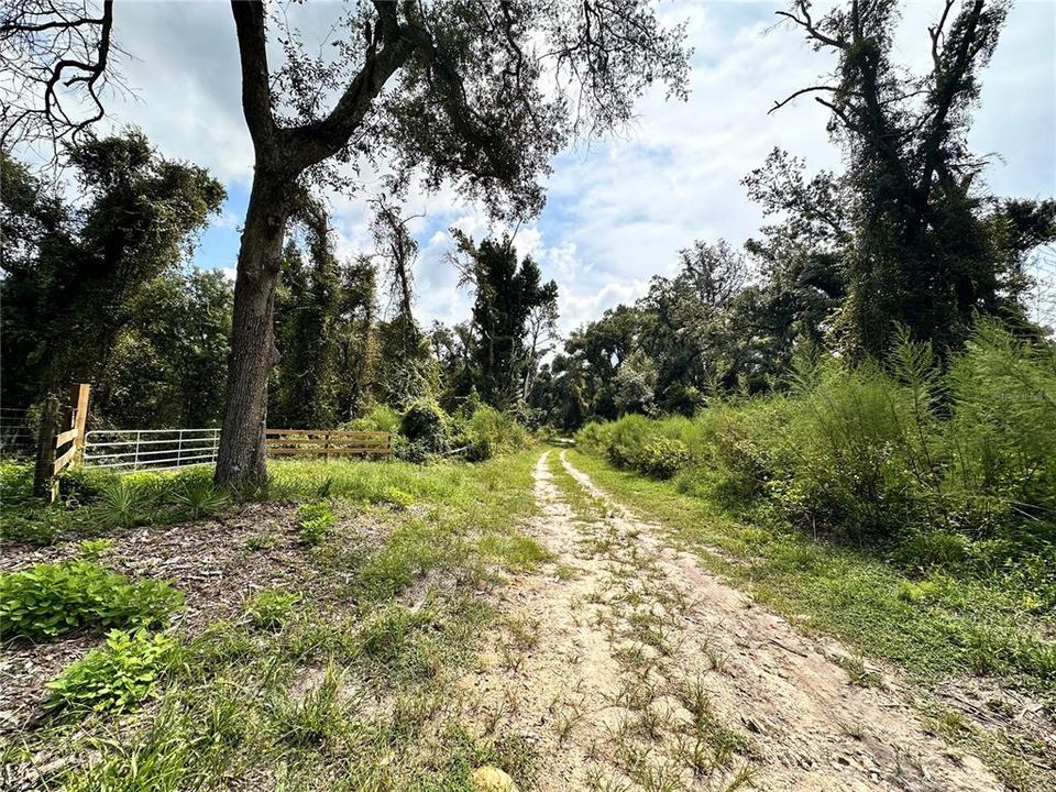 На продажу: $30,000 (1.10 acres)