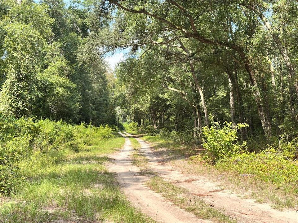 На продажу: $30,000 (1.10 acres)