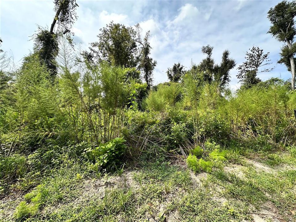 На продажу: $30,000 (1.10 acres)