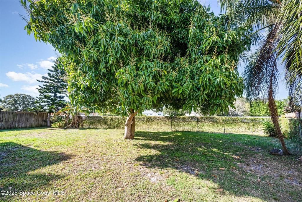 For Sale: $289,900 (3 beds, 2 baths, 1164 Square Feet)