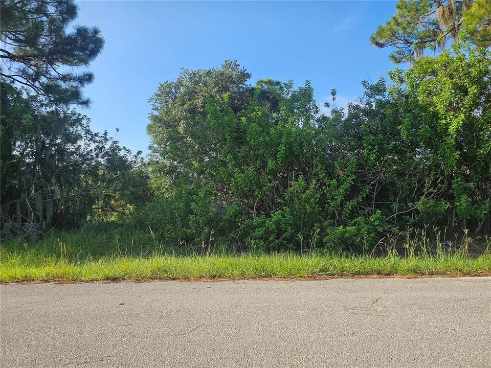 En Venta: $17,900 (0.23 acres)