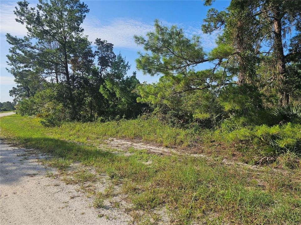 En Venta: $14,900 (0.23 acres)
