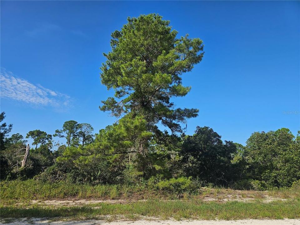 En Venta: $14,900 (0.23 acres)