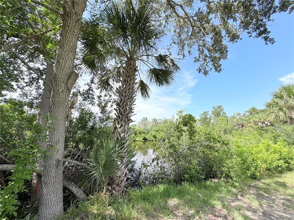 For Sale: $84,500 (0.28 acres)