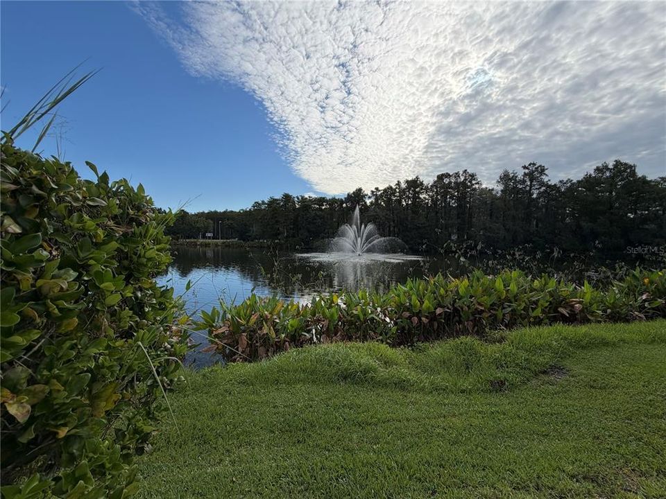 For Rent: $1,800 (2 beds, 2 baths, 1288 Square Feet)