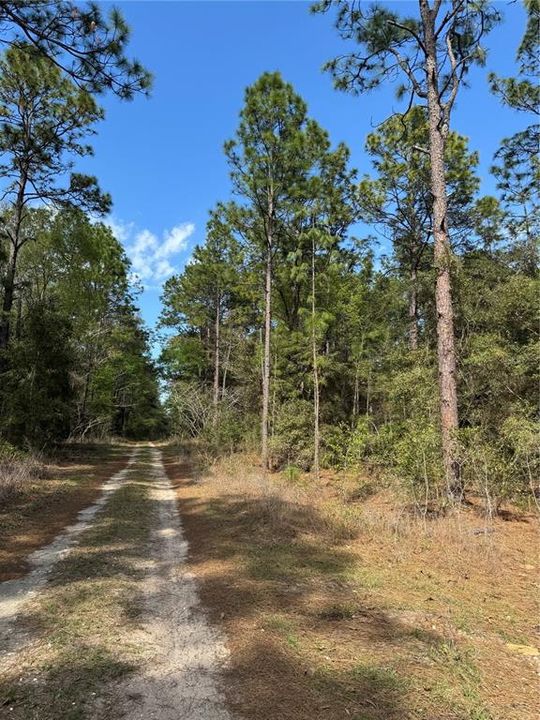 На продажу: $17,000 (0.46 acres)