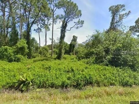 На продажу: $15,000 (0.46 acres)