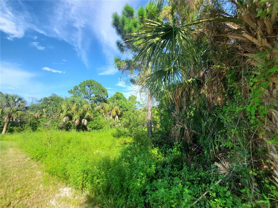 En Venta: $48,500 (0.23 acres)
