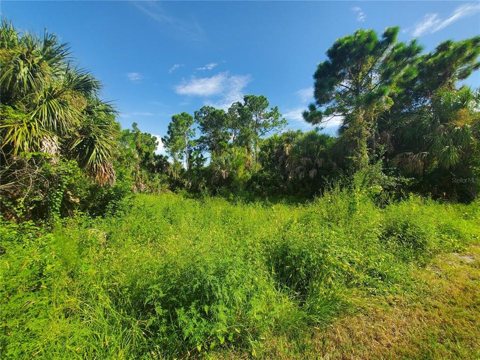 En Venta: $48,500 (0.23 acres)