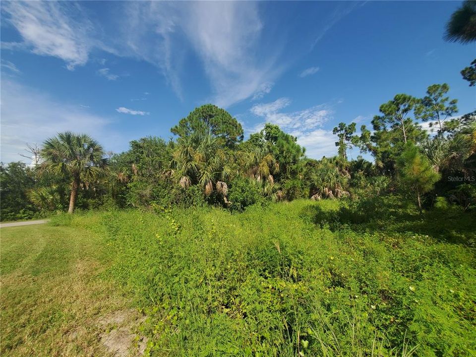 En Venta: $48,500 (0.23 acres)