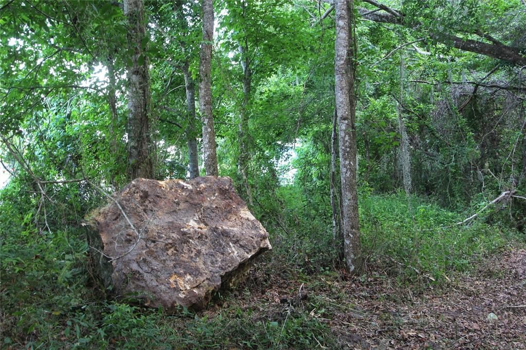 На продажу: $225,000 (5.01 acres)