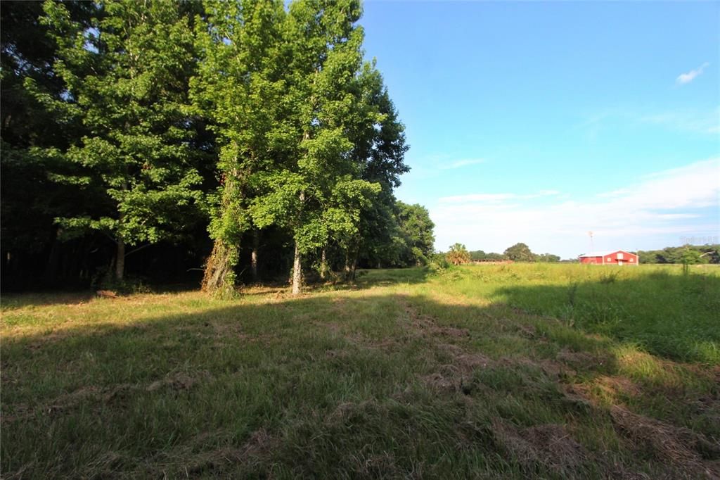 На продажу: $225,000 (5.01 acres)