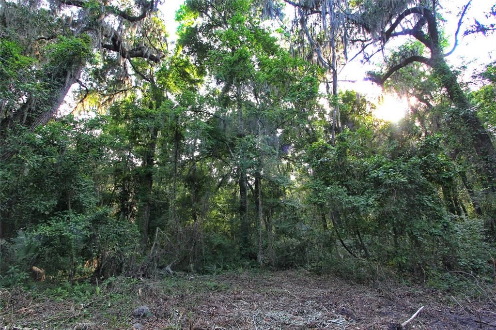 На продажу: $225,000 (5.01 acres)