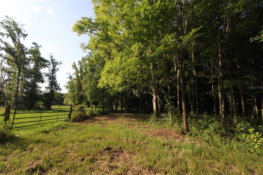 На продажу: $225,000 (5.01 acres)