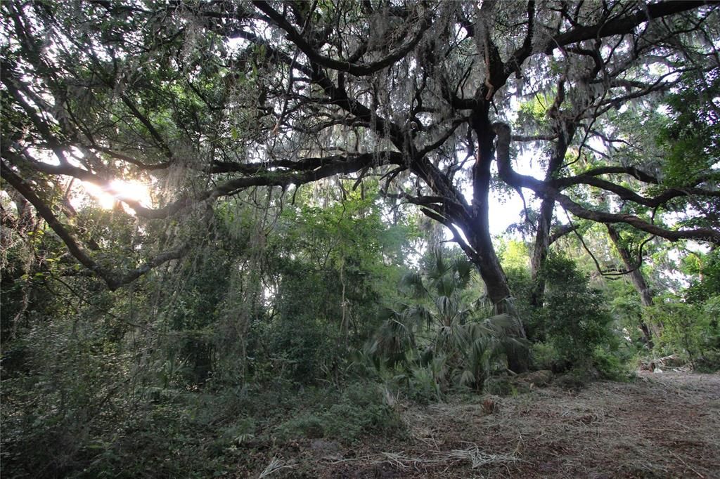На продажу: $225,000 (5.01 acres)