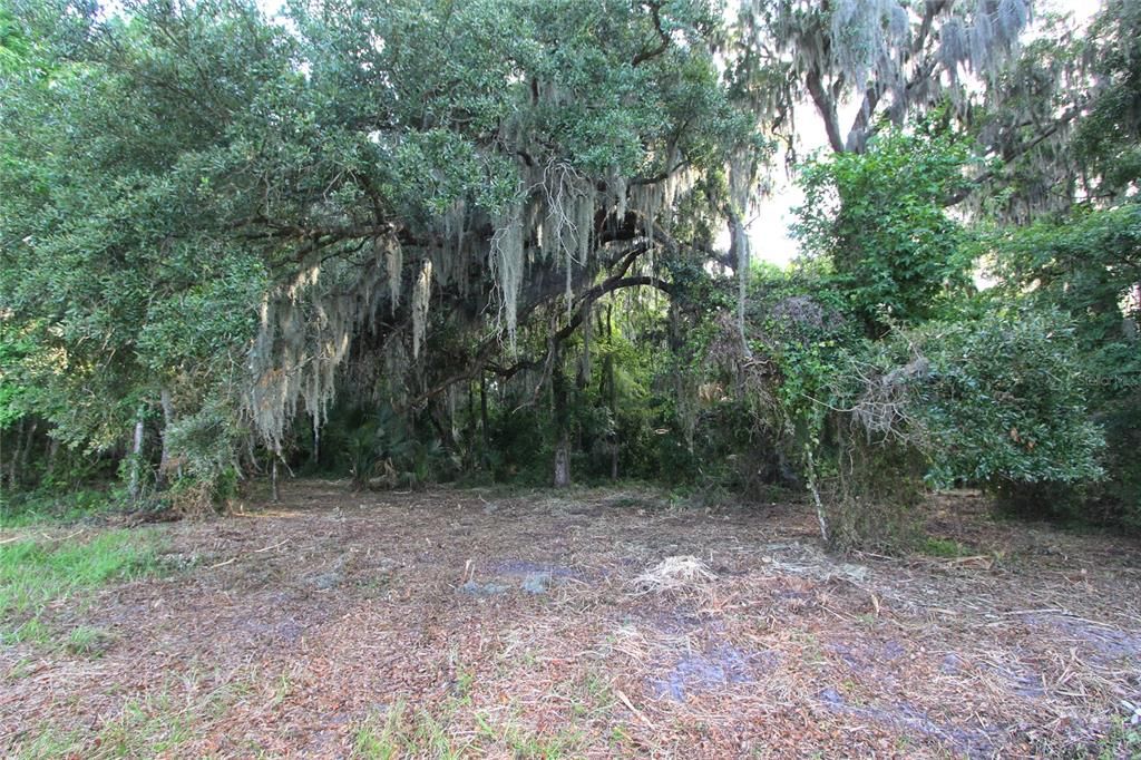 На продажу: $225,000 (5.01 acres)
