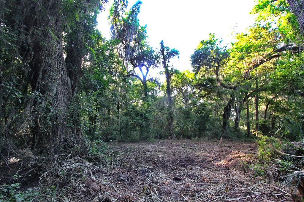 На продажу: $225,000 (5.01 acres)