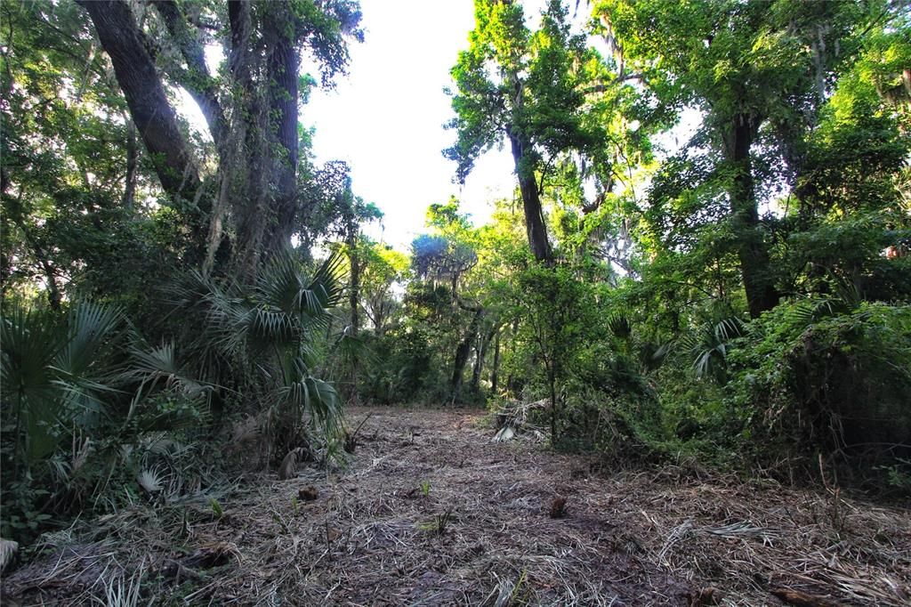 На продажу: $225,000 (5.01 acres)