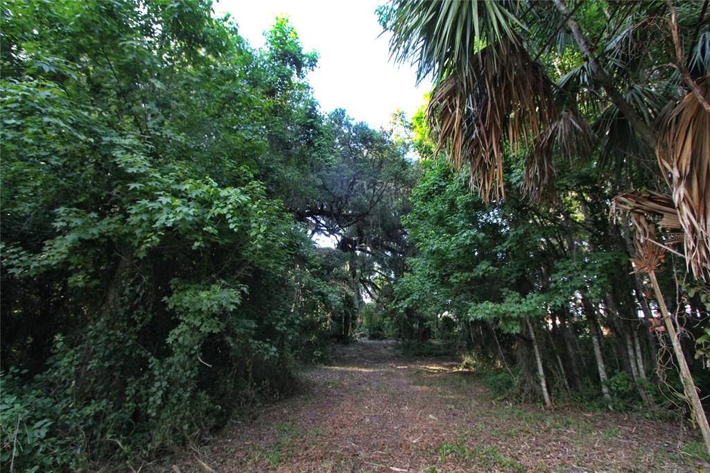 На продажу: $225,000 (5.01 acres)