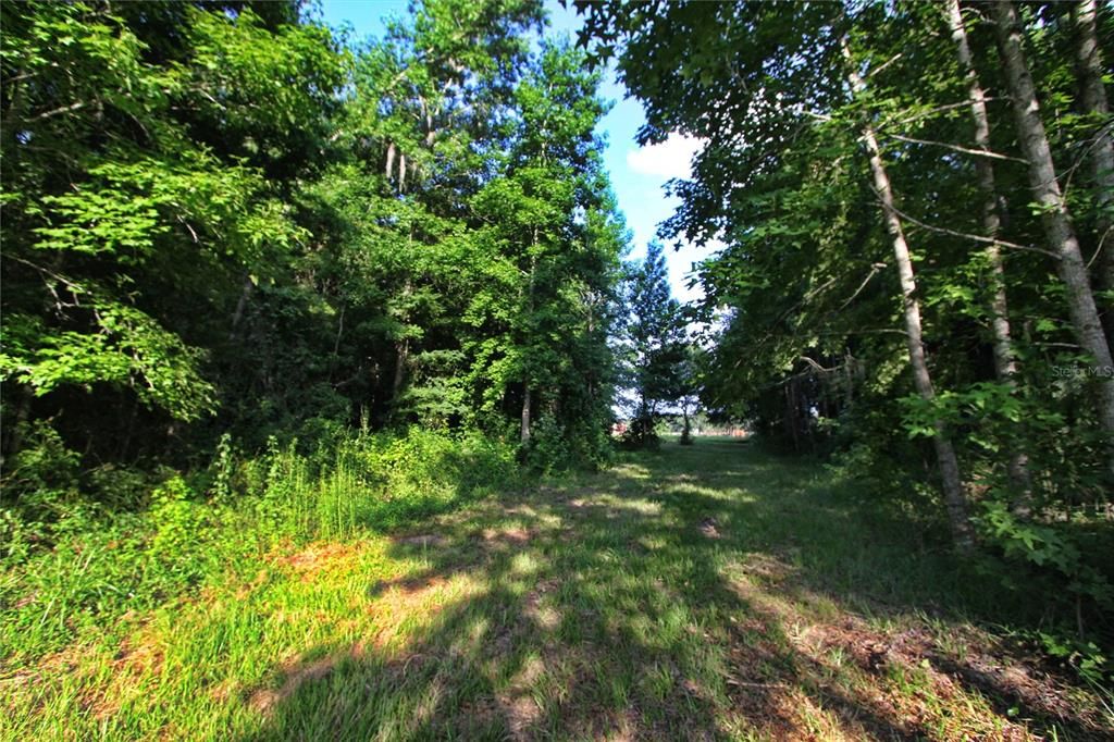 На продажу: $225,000 (5.01 acres)