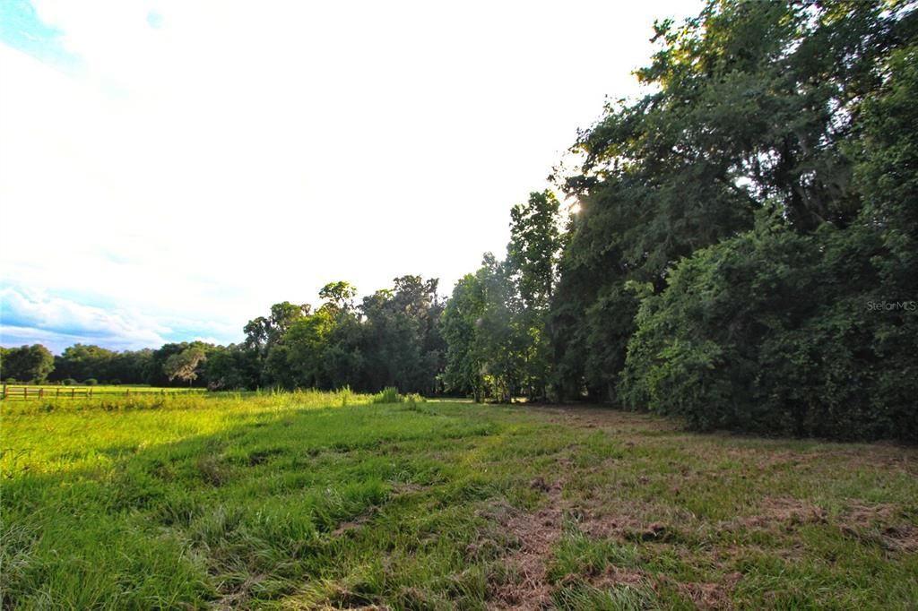 На продажу: $225,000 (5.01 acres)