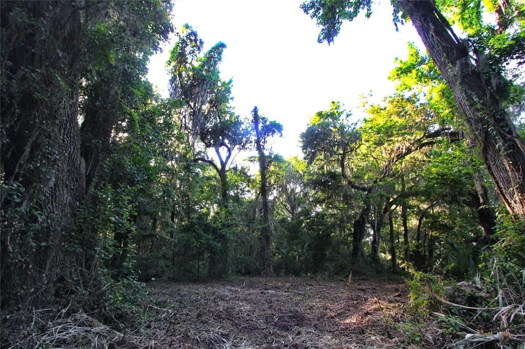 На продажу: $225,000 (5.01 acres)