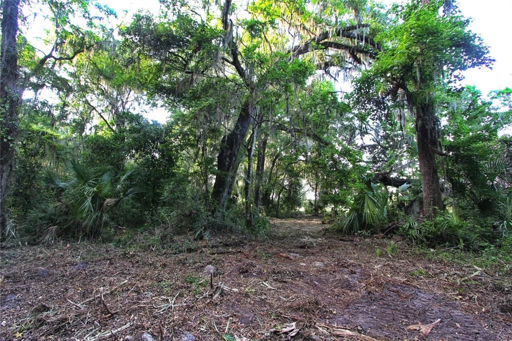 На продажу: $225,000 (5.01 acres)