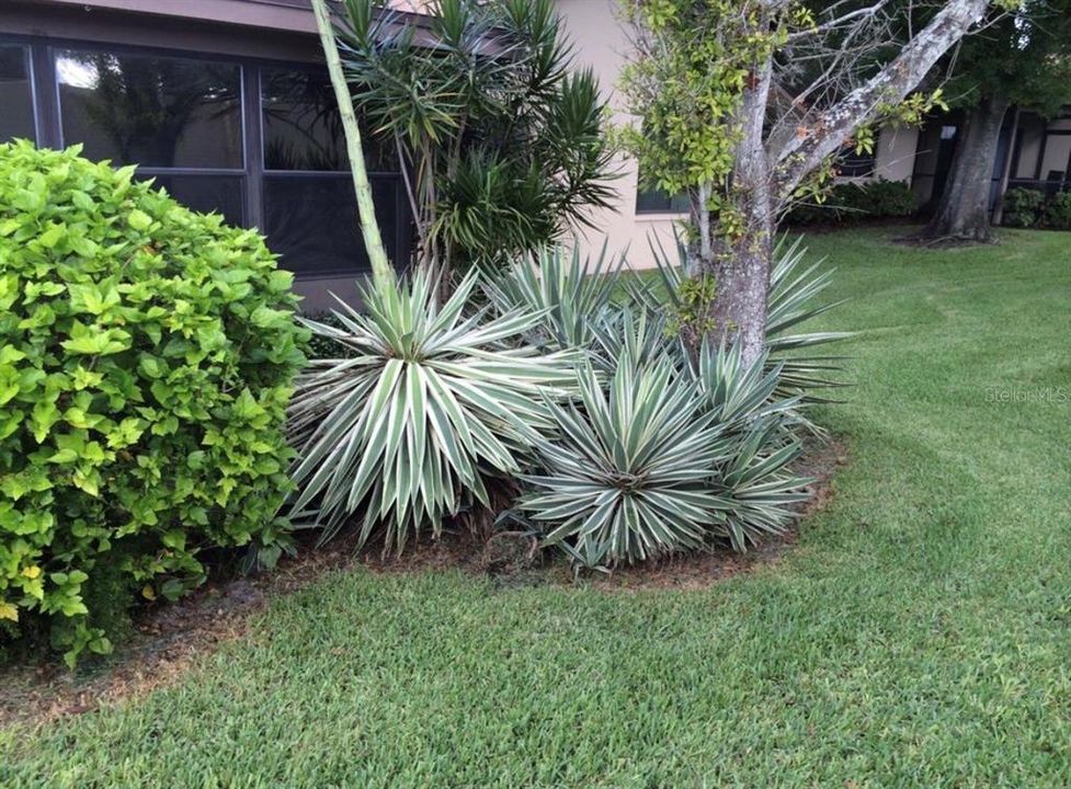 For Sale: $298,000 (2 beds, 2 baths, 1196 Square Feet)