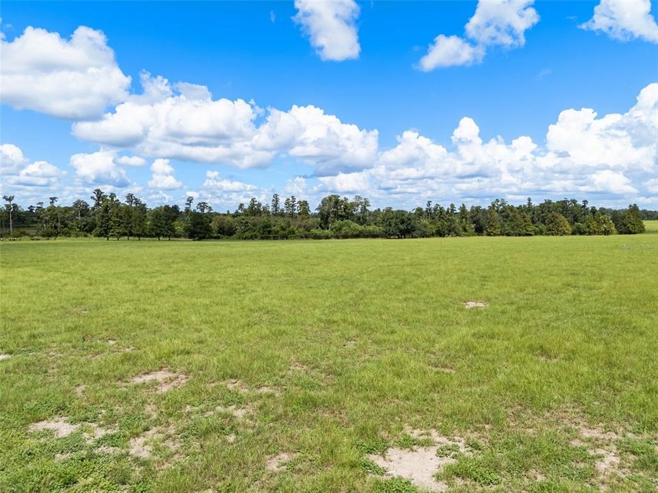 En Venta: $775,000 (44.40 acres)