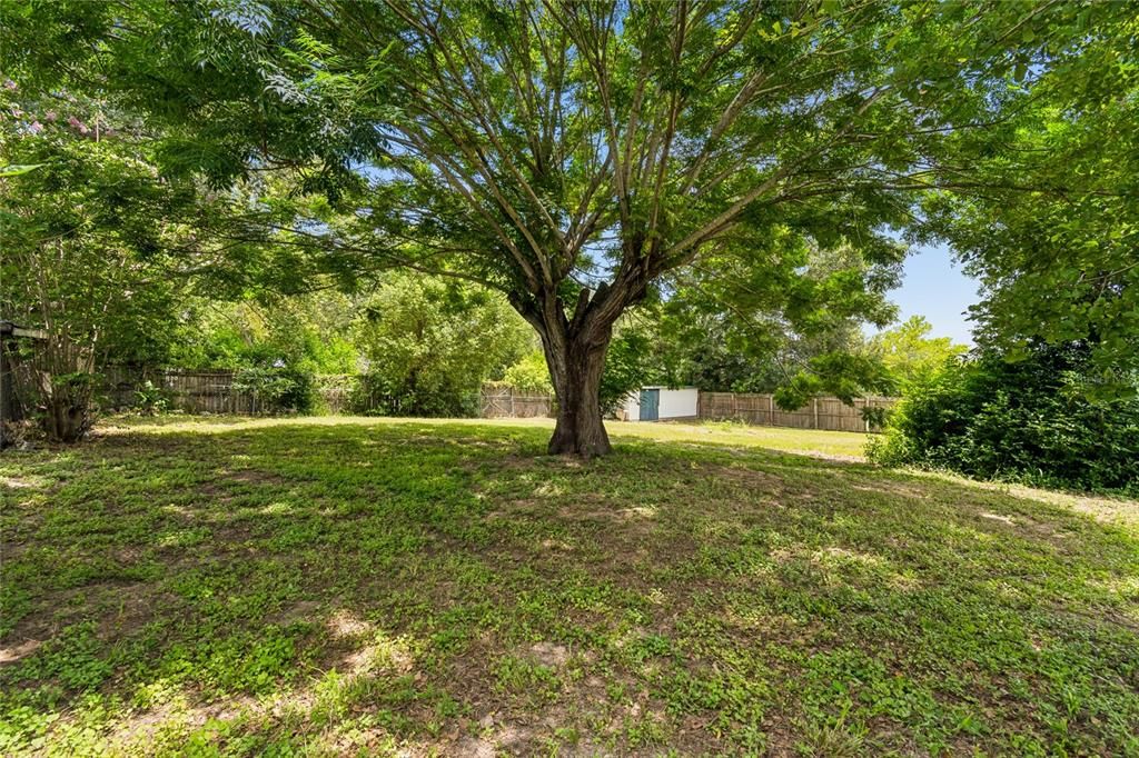 For Sale: $295,000 (3 beds, 2 baths, 1677 Square Feet)